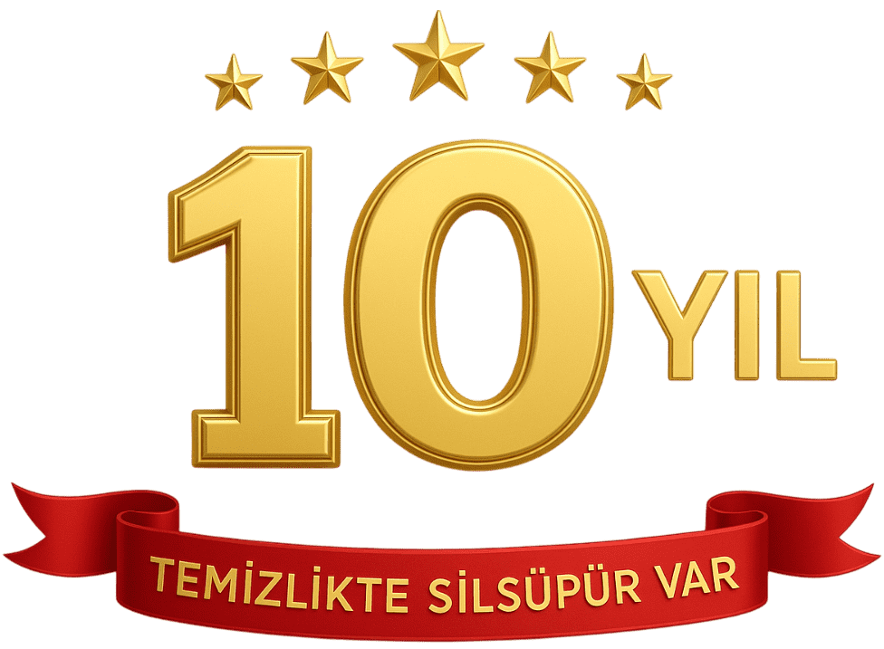 10 Yıl Logo